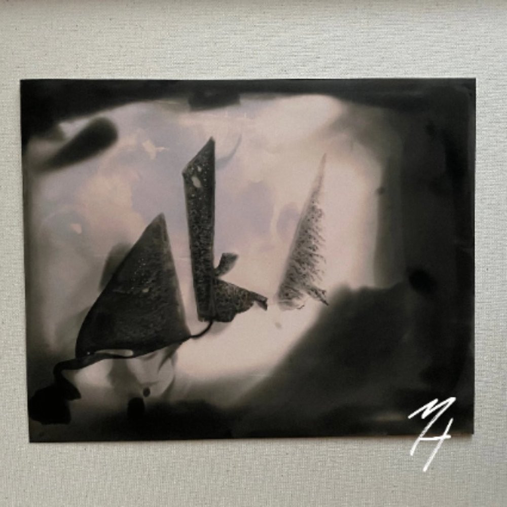 Sail Away - Darkroom Photography Print Abstract Chemicals